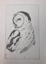 Etched Owl - (2025)